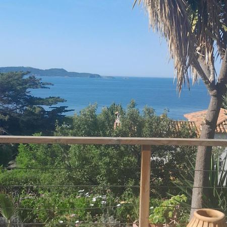 F3 Rdc Villa Vue Mer 180 Face A La Pointe De Giens كاركيران المظهر الخارجي الصورة